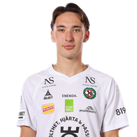 Edwin Ibrahimbegovic