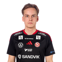 Hannes Sveijer